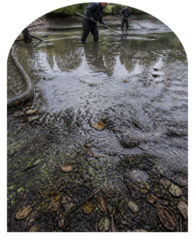 Очистка пруда в Смоленске от ила мусора и водорослей с вывозом